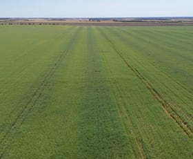 Rural / Farming commercial property for sale at 2064 Binnu Road East Ogilvie WA 6535