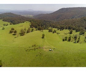 Rural / Farming commercial property for sale at 185 Sawyers Creek Road Willina NSW 2423