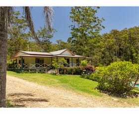 Rural / Farming commercial property for sale at 185 Sawyers Creek Road Willina NSW 2423