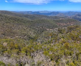 Rural / Farming commercial property for sale at 2515 Nullo Mountain Road Rylstone NSW 2849