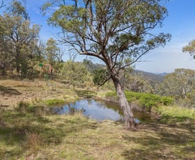Rural / Farming commercial property for sale at 2515 Nullo Mountain Road Rylstone NSW 2849