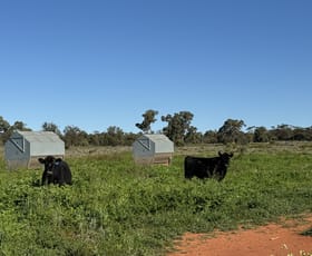 Rural / Farming commercial property for sale at 2823 Hermidale Nymagee Road Hermidale NSW 2831