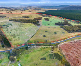 Rural / Farming commercial property sold at 747 Pelham Road Pelham TAS 7030