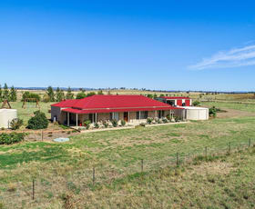 Rural / Farming commercial property for sale at 63 Gunning Ridge Road Forbes NSW 2871