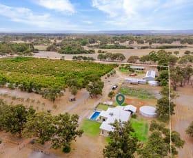 Rural / Farming commercial property for sale at 118 Attein Road West Coolup WA 6214