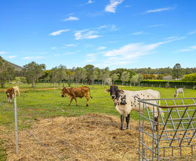 Rural / Farming commercial property sold at 437 Newlands Road Wamuran QLD 4512