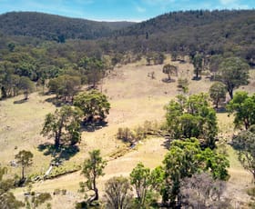Rural / Farming commercial property for sale at Lot 1, 625 Dolomite Road Rylstone NSW 2849