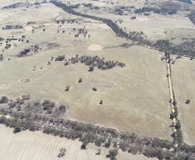 Rural / Farming commercial property sold at 0 Bolangum Inn Road Navarre VIC 3384