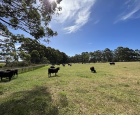 Rural / Farming commercial property sold at 853 Happy Valley Road Kordabup WA 6333