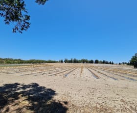 Rural / Farming commercial property for sale at 132 Dooling Road Neergabby WA 6503