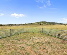 Rural / Farming commercial property for sale at 1758 Werris Creek Road Werris Creek NSW 2341