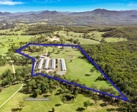 Rural / Farming commercial property for sale at 33 Thompsons Lane Stroud NSW 2425