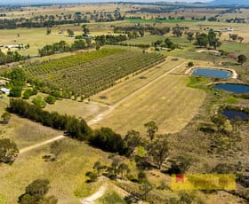 Rural / Farming commercial property for sale at 1734 Ulan Road Mudgee NSW 2850