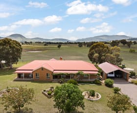 Rural / Farming commercial property for sale at 411 Spring Flat Road Mudgee NSW 2850