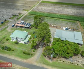 Rural / Farming commercial property for sale at 509 Lindemans Road Moore Park Beach QLD 4670