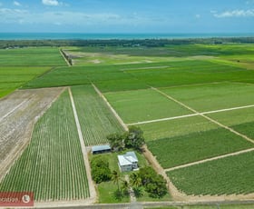 Rural / Farming commercial property for sale at 394 Lindemans Road Moore Park Beach QLD 4670