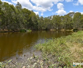 Rural / Farming commercial property sold at 30428 Bruce Highway Isis Central QLD 4660