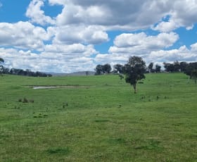 Rural / Farming commercial property for sale at 54 Belford Road Eukey QLD 4380