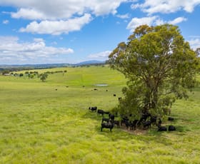 Rural / Farming commercial property sold at 188 Burkes Lane, Brewongle VIA Bathurst NSW 2795