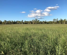 Rural / Farming commercial property sold at 412 ACRES PRIME RIVER GRAZING Dalby QLD 4405