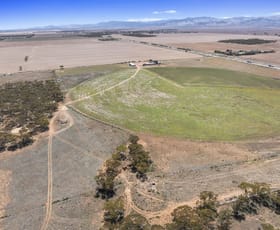 Rural / Farming commercial property sold at 'Bonnie-Doon' Augusta Highway Baroota SA 5495