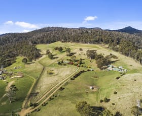 Rural / Farming commercial property for sale at 20 Garth Lane Black Hills TAS 7140