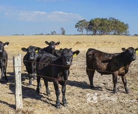 Rural / Farming commercial property sold at 710 Bramley River Road Osmington WA 6285