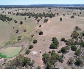 Rural / Farming commercial property sold at 1 Belah Park Lane, "Belah Park" Peak Hill NSW 2869