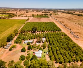 Rural / Farming commercial property for sale at 308 Payne Road Kaloorup WA 6280