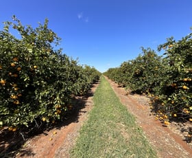 Rural / Farming commercial property for sale at 1058 Kidman Way Hanwood NSW 2680 Rural / Farming commercial property for sale at 1058 Kidman Way Hanwood NSW 2680