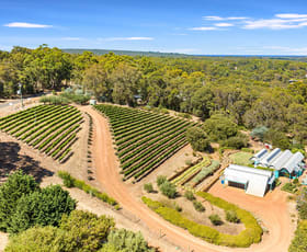 Rural / Farming commercial property for sale at 292 Kevill Road Margaret River WA 6285