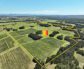 Rural / Farming commercial property sold at 221 Deaseys Road Pokolbin NSW 2320