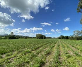 Rural / Farming commercial property sold at Koumala QLD 4738