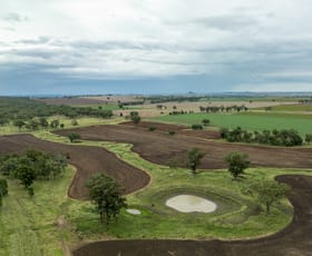 Rural / Farming commercial property sold at 288 Haywood Road Delungra NSW 2403