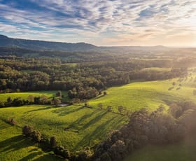 Rural / Farming commercial property for sale at 12 Bundewallah Road Berry NSW 2535