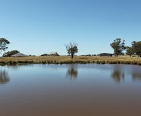 Rural / Farming commercial property sold at 751 Mia Mia-Derrinal Road Derrinal VIC 3523