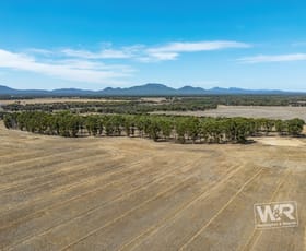 Rural / Farming commercial property for sale at Lot 4828 Filmer Road Kendenup WA 6323