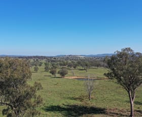 Rural / Farming commercial property for sale at 216 Mt Drummond Road Bundarra NSW 2359