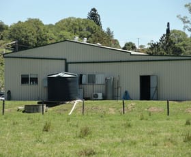 Rural / Farming commercial property for sale at 13174 Summerland Way Kyogle NSW 2474
