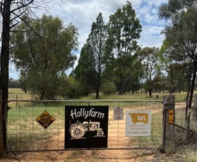 Rural / Farming commercial property for sale at 6710 Warrumbungles Way Coonabarabran NSW 2357