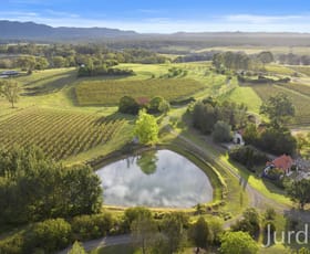 Rural / Farming commercial property sold at 120 Old North Road Pokolbin NSW 2320