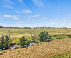 Rural / Farming commercial property for sale at 3500 Lachlan Valley Way Boorowa NSW 2586