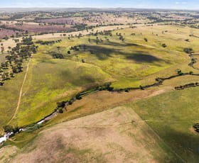 Rural / Farming commercial property for sale at 3500 Lachlan Valley Way Boorowa NSW 2586