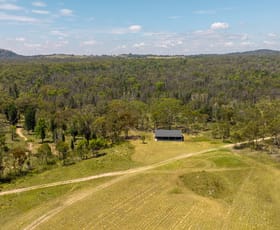 Rural / Farming commercial property for sale at 1477 Spring Creek Road Mudgee NSW 2850