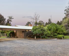 Rural / Farming commercial property for lease at 300 Hunts Lane Steels Creek VIC 3775