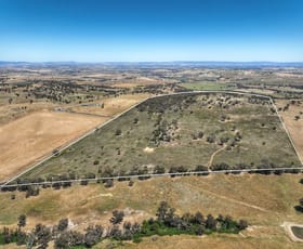 Rural / Farming commercial property for sale at 1294 Pine Mount Road Woodstock NSW 2793