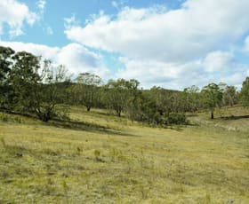 Rural / Farming commercial property for sale at LOTS 74,175-176 Cullerin Road Cullerin NSW 2581