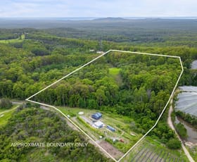 Rural / Farming commercial property for sale at 262 Grays Road Halfway Creek NSW 2460