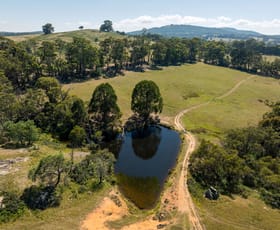 Rural / Farming commercial property for sale at 290 Ankers Road Strathbogie VIC 3666