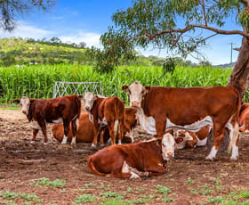 Rural / Farming commercial property sold at "South Glen" Cnr Cronin Road & Stoneleigh Road Linthorpe QLD 4356